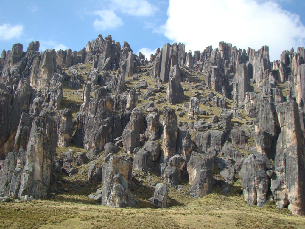 FOTO-7-Santuario-Nacional-de-Huayllay