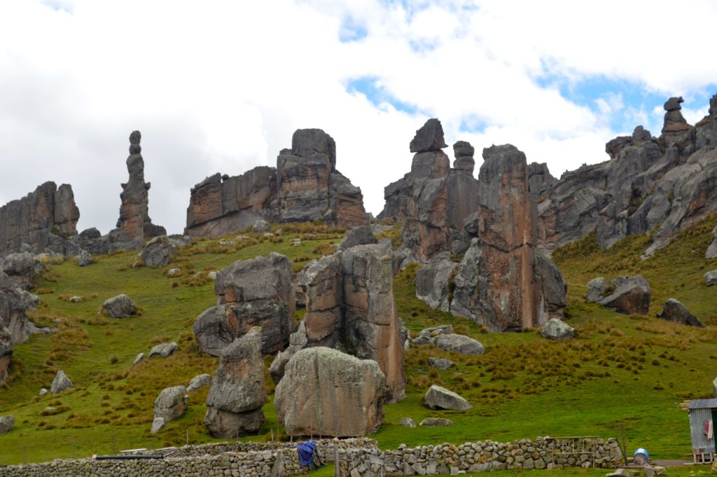 Santuario_Nacional_de_Huayllay_-_Cerro_de_Pasco